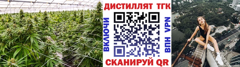 купить наркотик Сосновый Бор KRAKEN маркетплейс ТГК жижа