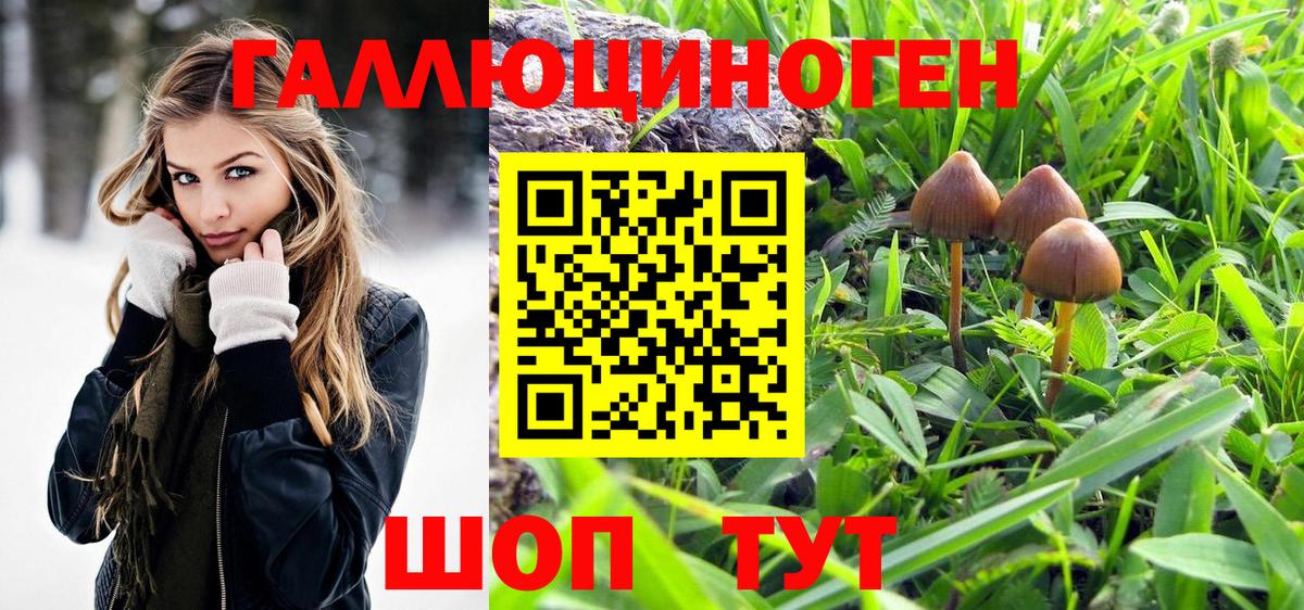 Псилоцибиновые грибы мухоморы Сосновый Бор