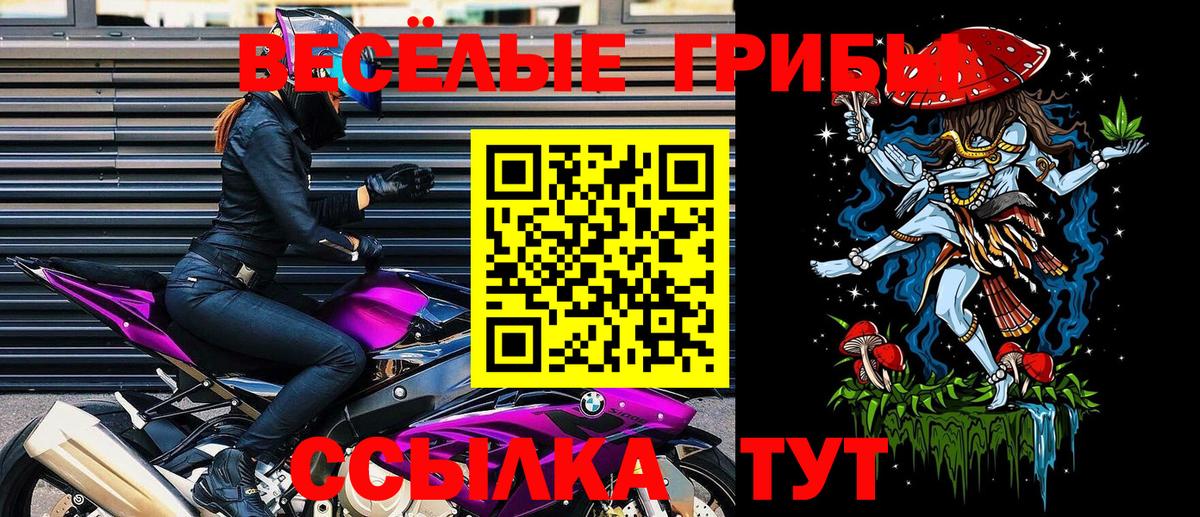 Сосновый Бор  Псилоцибиновые грибы Psilocybine cubensis  купить наркоту  Вход с VPN  Галлюциногенные грибы мицелий 